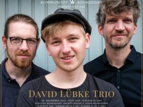 Konzert im Schloss Röhrsdorf - Copyright David Lübke Trio